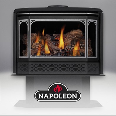 Click here to explore the Napoleon brand.