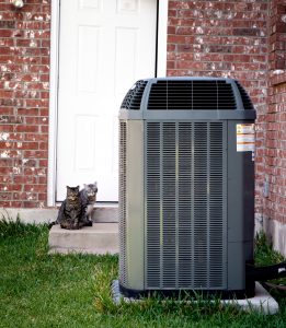 outdoor-air-conditioning-unit-with-cat